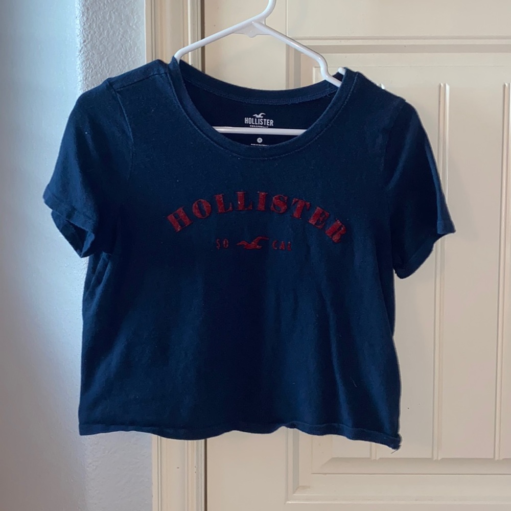 Holister Crop Top!